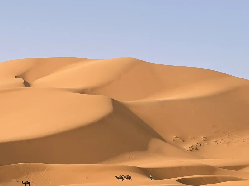 3 Days Tour From Marrakech To Merzouga