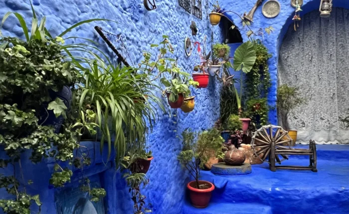 7 Days in Morocco