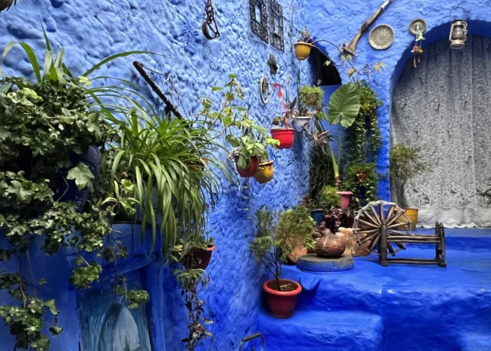 7 Days in Morocco