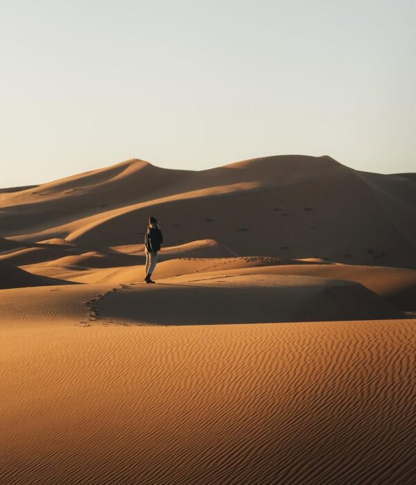 Best Time to Visit Morocco