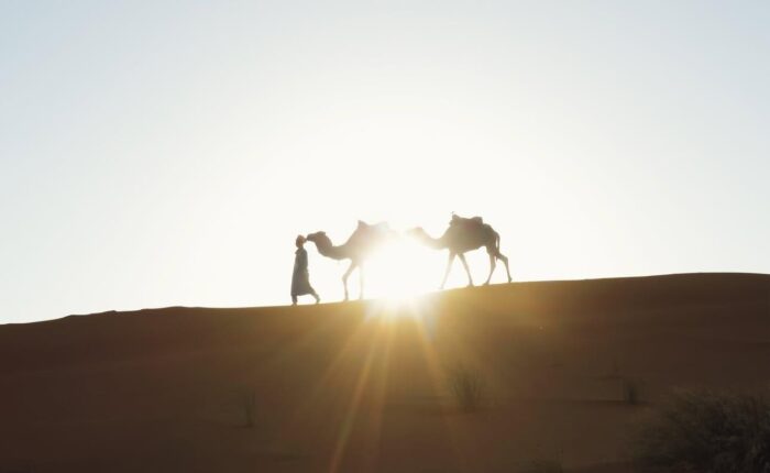 4 Days tour from Marrakech to Merzouga